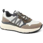 Lage Sneakers Lyle &amp; Scott Lyle Scott Sneaker Lennox Earth Groen