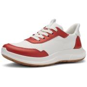 Lage Sneakers Ara -