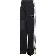 Trainingsbroek adidas W Sta Seas Pt