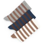 Sokken Duca Di Morrone MANTOVA_TRIPACK brown