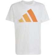 T-shirt Korte Mouw adidas J Bl Tee 160