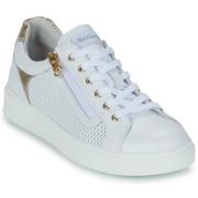 Lage Sneakers NeroGiardini E615252D-707