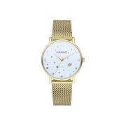 Horloge Radiant ra545202