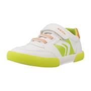 Lage Sneakers Geox B GISLI BOY