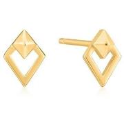 Oorbellen Ania Haie e02508g