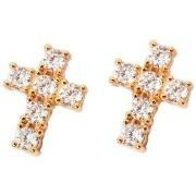 Oorbellen Chiara Ferragni j19awc13