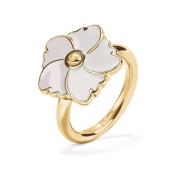 Parure Folli Follie 3r19t009yw54