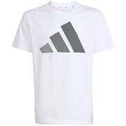 T-shirt Korte Mouw adidas J Bl Tee 160