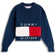 Trui Tommy Hilfiger Heritage Sweater