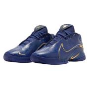 Hoge Sneakers Nike LeBron 22 Monopoly Deep Royal Blue