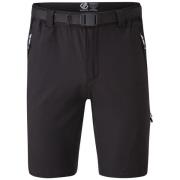 Korte Broek Regatta -