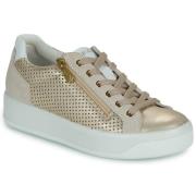 Lage Sneakers IgI&amp;CO D.AVA