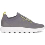 Lage Sneakers Geox Sneaker