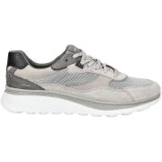 Lage Sneakers Geox Sneaker