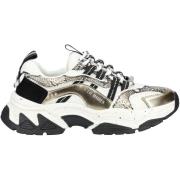 Lage Sneakers Steve Madden Sneaker