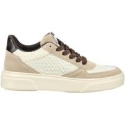Lage Sneakers Steve Madden Sneaker