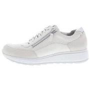 Lage Sneakers Durea 6263