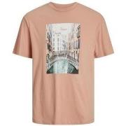 T-shirt Korte Mouw Jack &amp; Jones 12254030