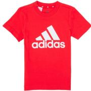 T-shirt Korte Mouw adidas B BL T