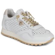 Lage Sneakers Cetti C-848-SRA-V26-NATURE-BLANCO-ORO