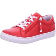 Lage Sneakers Gemini -