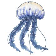 Beeldjes Signes Grimalt Kwallen Wanddecoratie