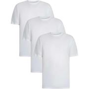 T-shirt Korte Mouw Vans 3-pack klassieke T-shirts
