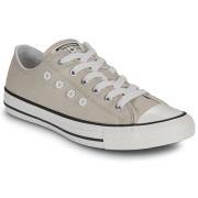 Lage Sneakers Converse CHUCK TAYLOR ALL STAR