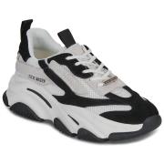 Lage Sneakers Steve Madden POSSESSION