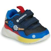 Lage Sneakers Primigi BABY INFINI LIGHT