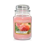Eau de Parfum Yankee Candle Vela Perfumada Sun-Drenched Apricot Rose 6...