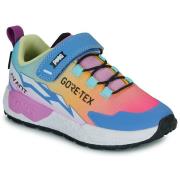 Lage Sneakers Primigi B G STORM GTX