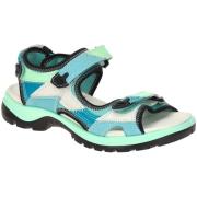 Fitness Schoenen Ecco -