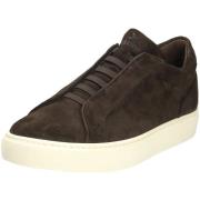 Lage Sneakers Lloyd -