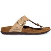 Slippers Rohde Rodigo