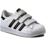 Lage Sneakers adidas B26070