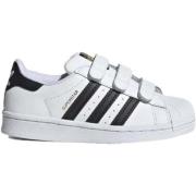 Lage Sneakers adidas EF4838