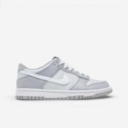 Lage Sneakers Nike Dunk Low Two-Toned Grey (GS)