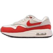 Lage Sneakers Nike DZ3307-008