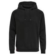 Sweater hummel Sweat à capuche Red Classic