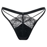 Strings Lisca String DESTINY