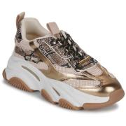 Lage Sneakers Steve Madden -