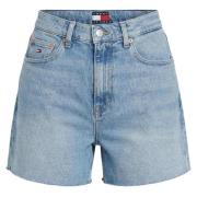 Korte Broek Tommy Hilfiger DW0DW22694