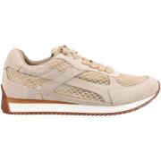 Lage Sneakers Gioseppo Sneaker