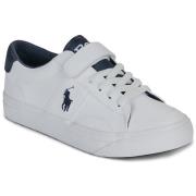 Lage Sneakers Polo Ralph Lauren RYLEY PS