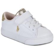 Lage Sneakers Polo Ralph Lauren THERON V PS