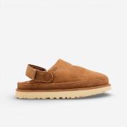 Klompen UGG Goldenstar Clog Chestnut (Women's)