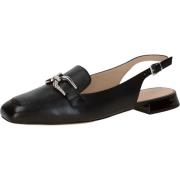 Ballerina's Caprice Ballerina´s