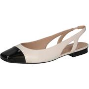 Ballerina's Peter Kaiser Pumps