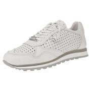 Lage Sneakers Cetti -